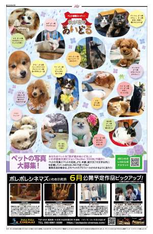 3ページ
