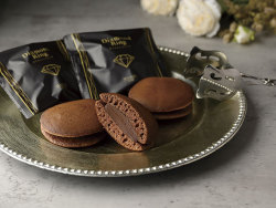 今月のアンケート