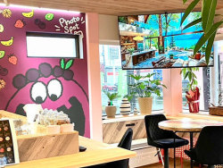 今月のアンケート